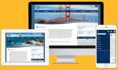 website picture